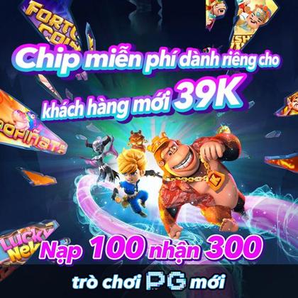 8QQ