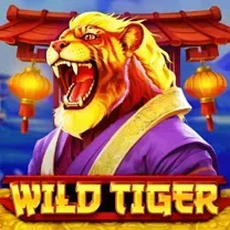 W500 SLOT JILI Login